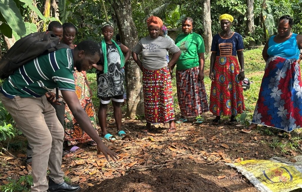 un groupe d'agricultrices participe à une école aux champs, au Libéria